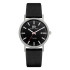 Danish Design Herrenuhr Titan 3316356 (IQ13Q1273)